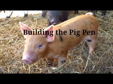 Pig pen game download